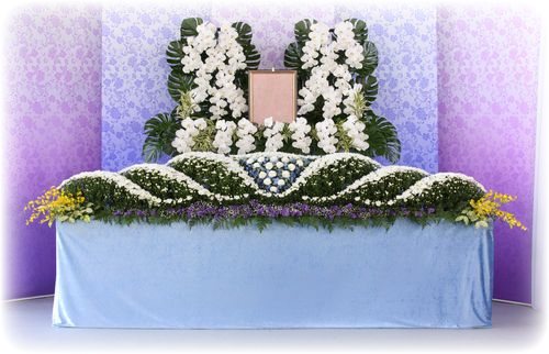 花彩